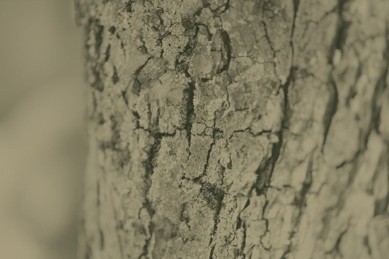 Nervensystem Signaturen und ihre Folgen