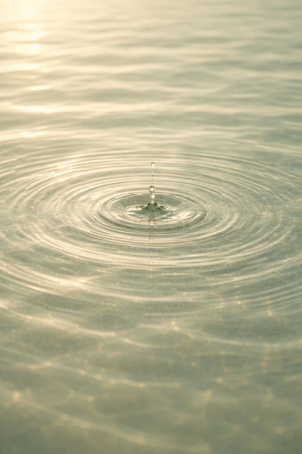 Die toxische spirituelle Welt