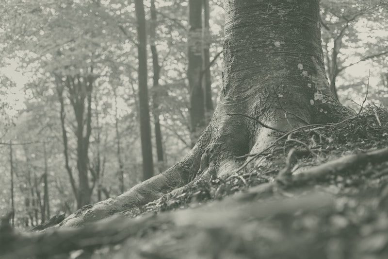 Toxische Positivität