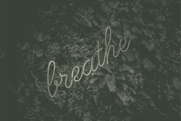 Warum Körperarbeit der Schlüssel ist